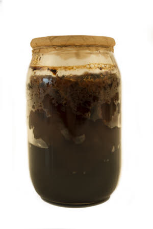 Mr Straw's House, Endcliffe Villa © National Trust / Jules Foster