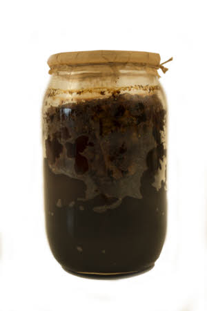 Mr Straw's House, Endcliffe Villa © National Trust / Jules Foster