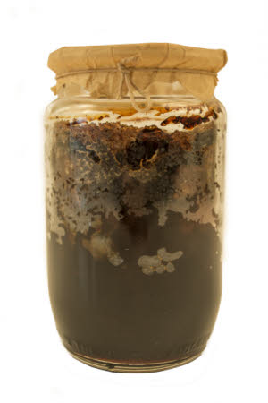 Mr Straw's House, Endcliffe Villa © National Trust / Jules Foster