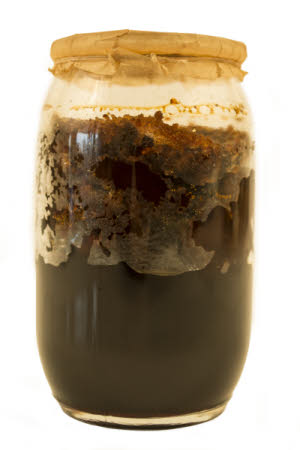 Mr Straw's House, Endcliffe Villa © National Trust / Jules Foster