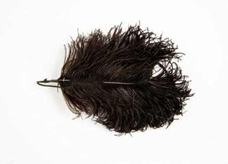 Feather