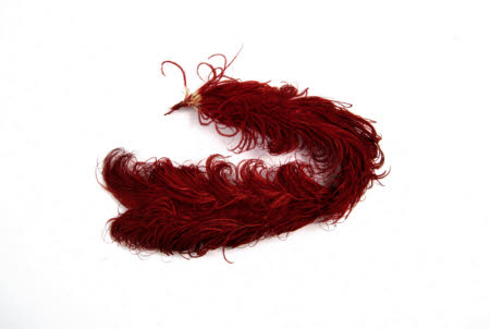Feather