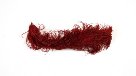 Feather