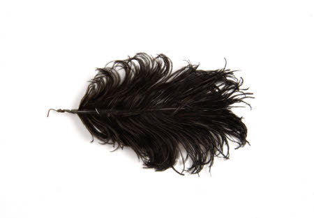 Feather