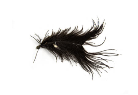 Feather