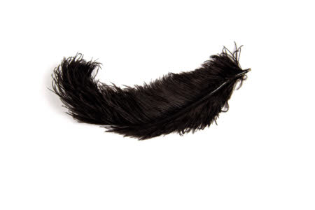 Feather
