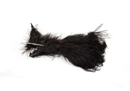 Feather