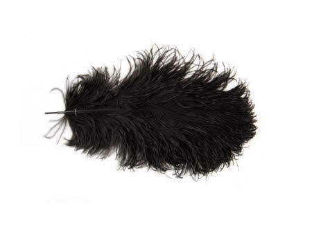 Feather