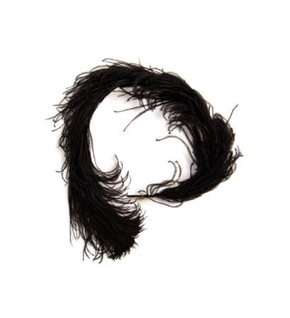 Feather