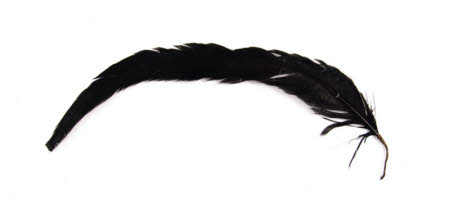 Feather