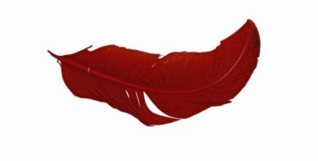Feather