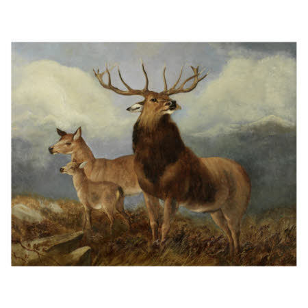 Stag and Hinds on a Hillside