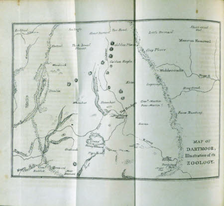 Saltram © National Trust / Michael Ford