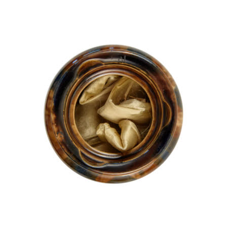 Mr Straw's House, Endcliffe Villa © National Trust / John William Brown