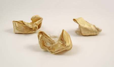 Mr Straw's House, Endcliffe Villa © National Trust / John William Brown