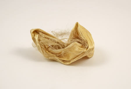 Mr Straw's House, Endcliffe Villa © National Trust / John William Brown