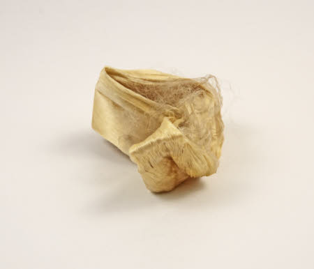 Mr Straw's House, Endcliffe Villa © National Trust / John William Brown