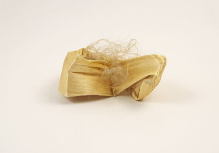 Mr Straw's House, Endcliffe Villa © National Trust / John William Brown