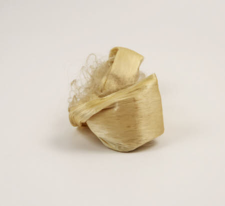 Mr Straw's House, Endcliffe Villa © National Trust / John William Brown