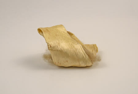 Mr Straw's House, Endcliffe Villa © National Trust / John William Brown