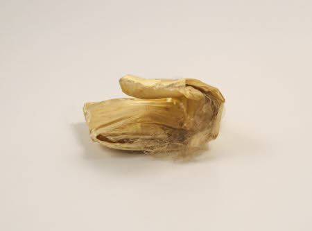 Mr Straw's House, Endcliffe Villa © National Trust / John William Brown