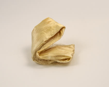 Mr Straw's House, Endcliffe Villa © National Trust / John William Brown