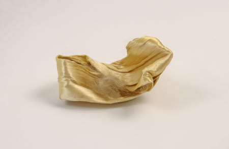 Mr Straw's House, Endcliffe Villa © National Trust / John William Brown