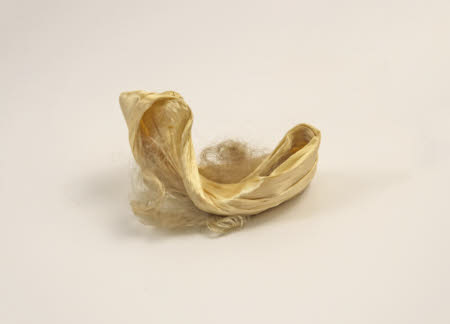 Mr Straw's House, Endcliffe Villa © National Trust / John William Brown