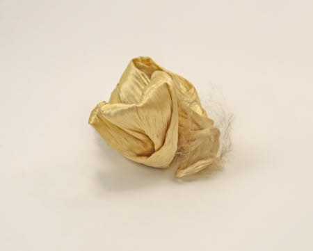 Mr Straw's House, Endcliffe Villa © National Trust / John William Brown