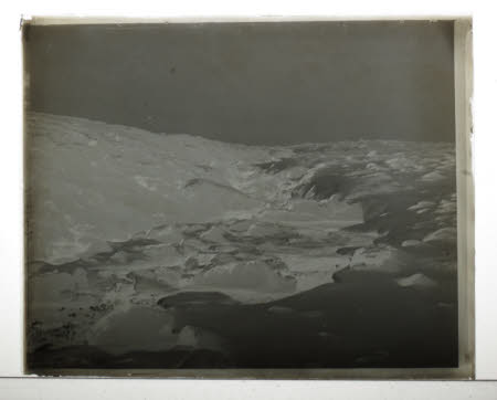 Photographic negative