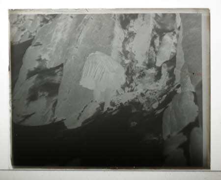 Photographic negative