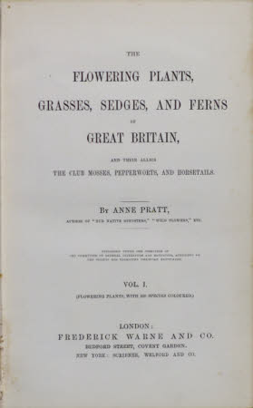 The flowering plants, grasses, sedges, and ferns of Great Britain, . and their allies the club ...