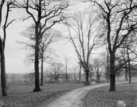 Shaw’s Corner. Reproduced with kind permission of LSE, The National Trust, and The Society of Authors on behalf of the Bernard Shaw Estate © National Trust 