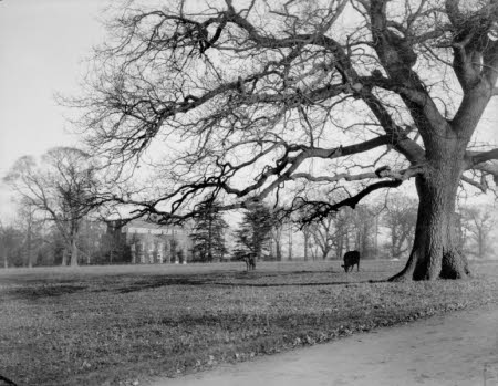 Shaw’s Corner. Reproduced with kind permission of LSE, The National Trust, and The Society of Authors on behalf of the Bernard Shaw Estate © National Trust 