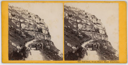 The Cliff Path, Gt Orme's Head, Llandudno