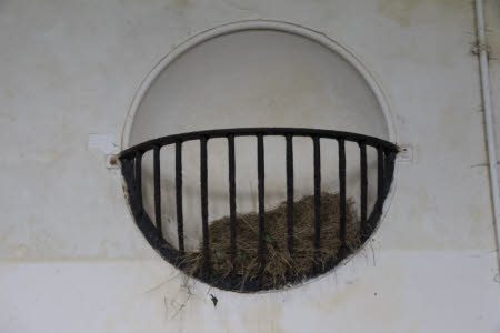 Dyrham Park © National Trust / David Evans