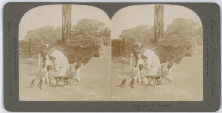 Fox Talbot Museum, Fenton Collection © National Trust / Rosalind Gunning