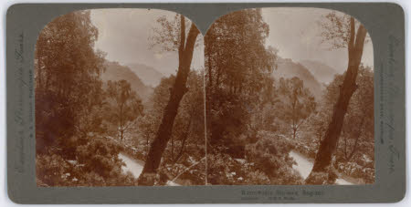 Fox Talbot Museum, Fenton Collection © National Trust / Rosalind Gunning