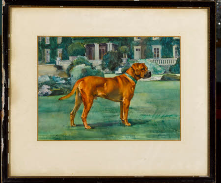 A bull dog? Wearing a green collar In the Italian Garden at Mount Stewart.