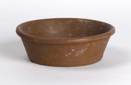 Plant dish