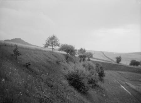 Shaw’s Corner. Reproduced with kind permission of LSE, The National Trust, and The Society of Authors on behalf of the Bernard Shaw Estate © National Trust