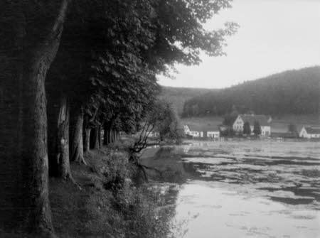 Shaw’s Corner. Reproduced with kind permission of LSE, The National Trust, and The Society of Authors on behalf of the Bernard Shaw Estate © National Trust