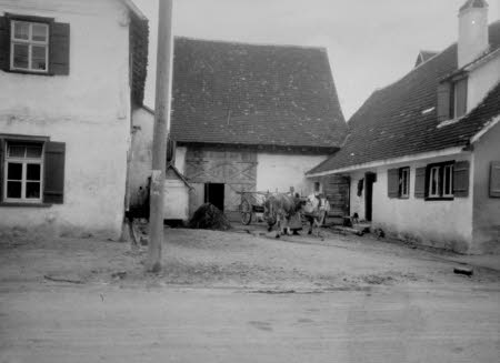Shaw’s Corner. Reproduced with kind permission of LSE, The National Trust, and The Society of Authors on behalf of the Bernard Shaw Estate © National Trust
