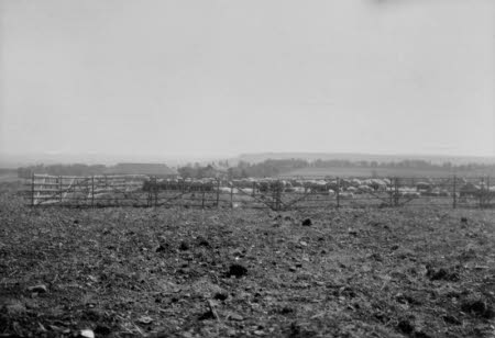 Shaw’s Corner. Reproduced with kind permission of LSE, The National Trust, and The Society of Authors on behalf of the Bernard Shaw Estate © National Trust