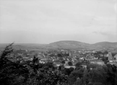 Shaw’s Corner. Reproduced with kind permission of LSE, The National Trust, and The Society of Authors on behalf of the Bernard Shaw Estate © National Trust