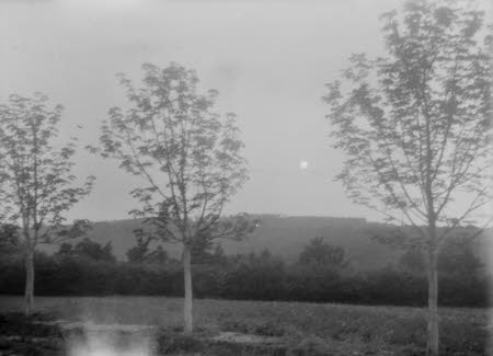 Shaw’s Corner. Reproduced with kind permission of LSE, The National Trust, and The Society of Authors on behalf of the Bernard Shaw Estate © National Trust