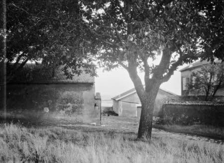 Shaw’s Corner. Reproduced with kind permission of LSE, The National Trust, and The Society of Authors on behalf of the Bernard Shaw Estate © National Trust