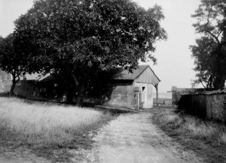 Shaw’s Corner. Reproduced with kind permission of LSE, The National Trust, and The Society of Authors on behalf of the Bernard Shaw Estate © National Trust