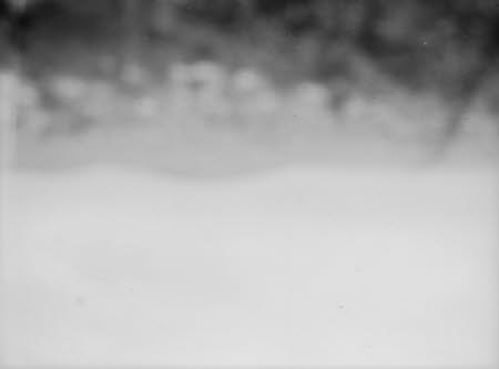 Shaw’s Corner. Reproduced with kind permission of LSE, The National Trust, and The Society of Authors on behalf of the Bernard Shaw Estate © National Trust