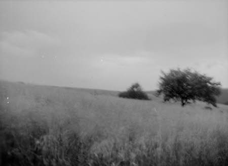 Shaw’s Corner. Reproduced with kind permission of LSE, The National Trust, and The Society of Authors on behalf of the Bernard Shaw Estate © National Trust